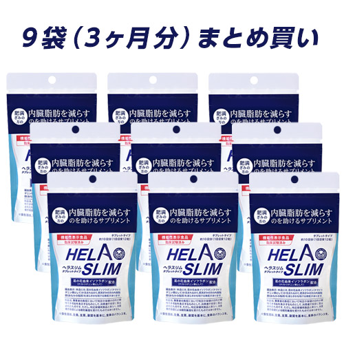 【9袋セット】ヘラスリムアルミパック